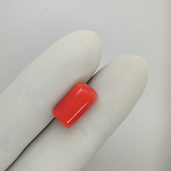 Coral (Moonga) 6.67 Ct Gem Quality Coral (Moonga) 6.67 Ct Gem Quality